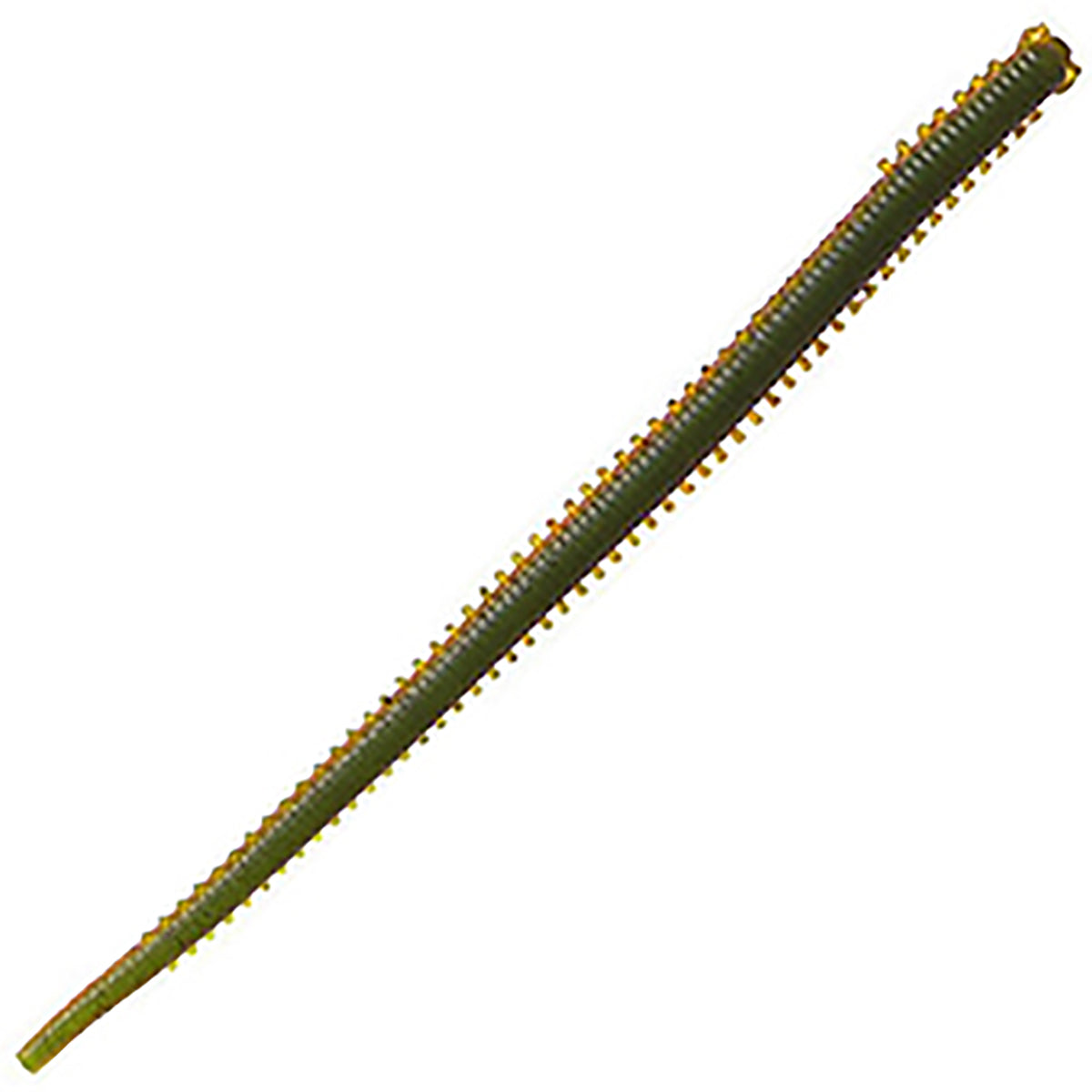 BK ｶﾞﾙﾌﾟSW ｲｿﾒ太身4 岩ｲｿﾒ(Natural Sandworm)