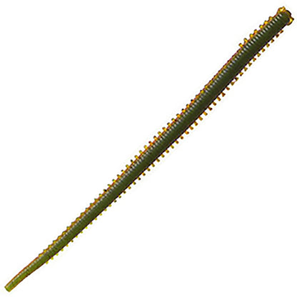 BK ｶﾞﾙﾌﾟSW ｲｿﾒ太身4 岩ｲｿﾒ(Natural Sandworm)