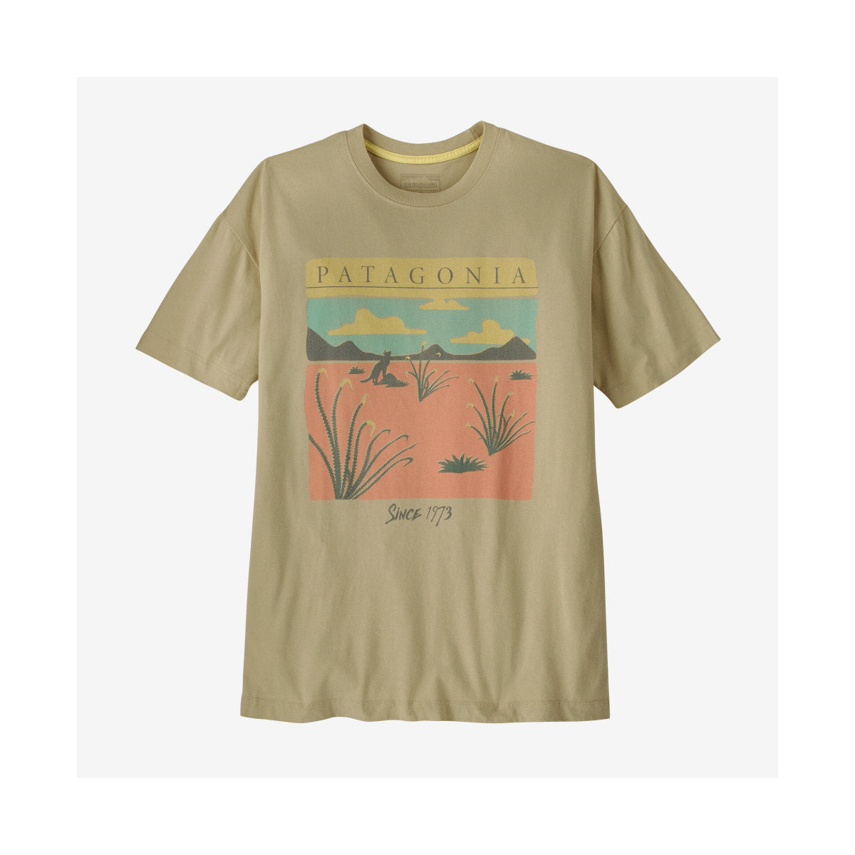 パタゴニア ウィメンズ・デザート・グロー・オーバーサイズ・Tシャツ
