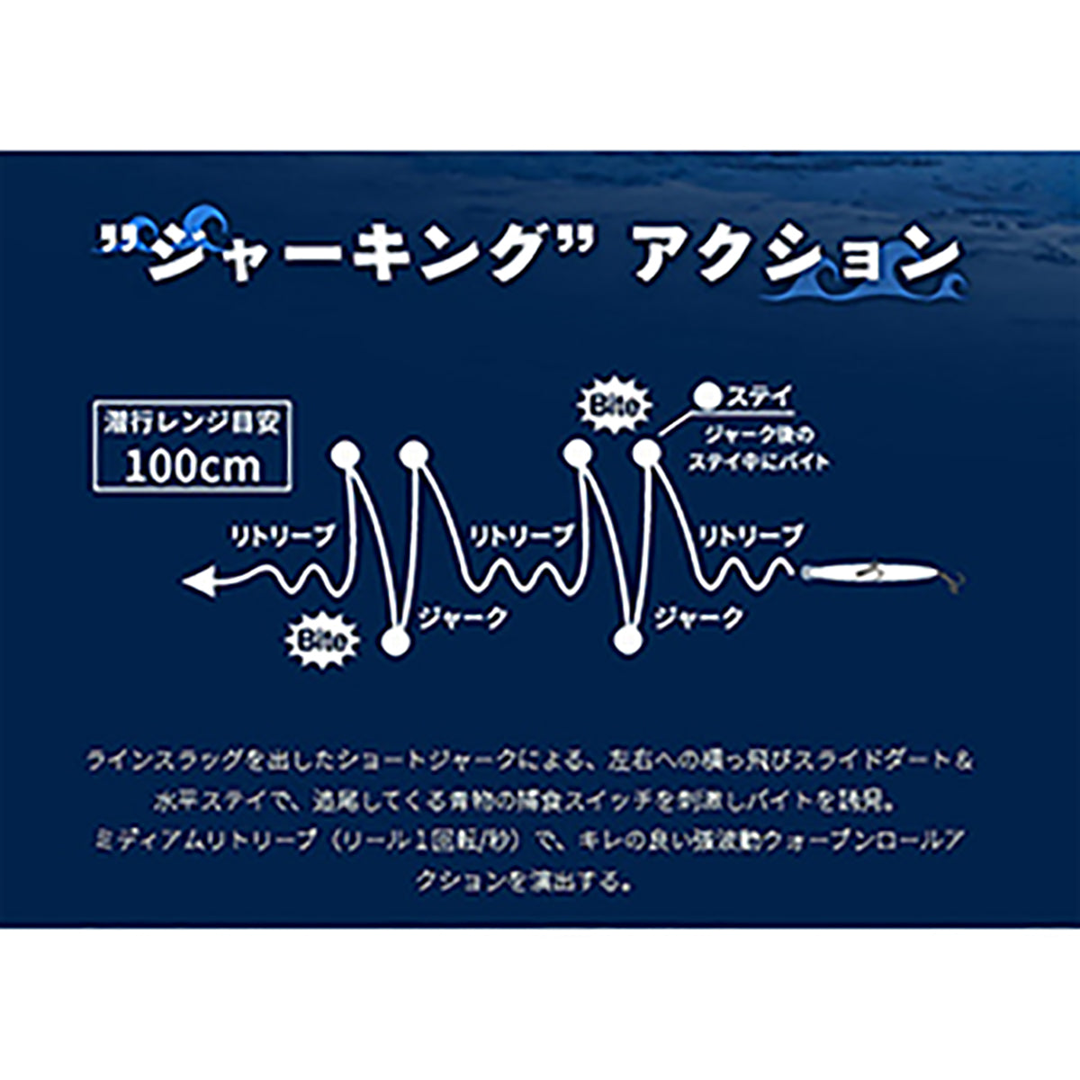 ﾎﾞｱｰ SS195 B24D ｹｲﾑﾗｽﾘｯﾄｸﾞﾛｰ