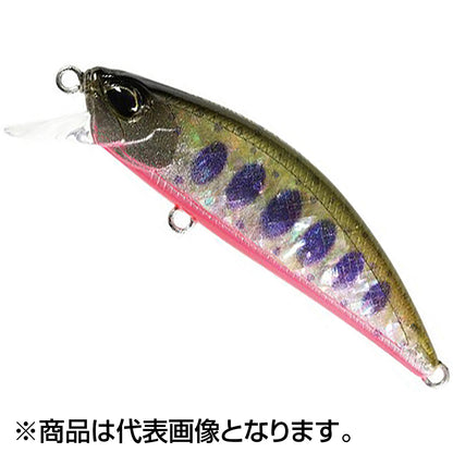 24SHﾘｭｳｷ45S ｱﾜﾋﾞ CCC4113 赤腹ﾔﾏﾒｱﾜﾋﾞ