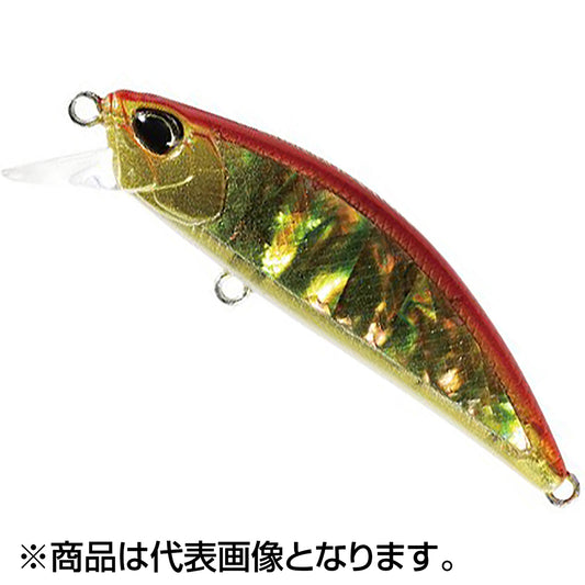 24SHﾘｭｳｷ60S ｱﾜﾋﾞ CCC4115 赤金ｱﾜﾋﾞ