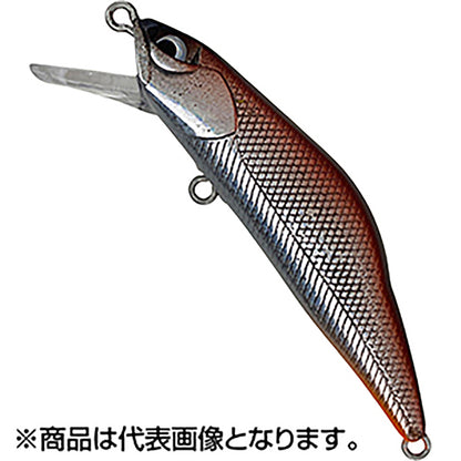 ｱｲﾋﾞｰﾗｲﾝ T-Gravits 50S T05 ｺｹﾞﾁｬｷﾞﾝ
