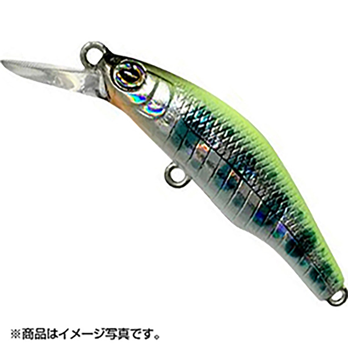 H.A.L ﾃﾞﾝｽ50US#34 H-CH YAMAME