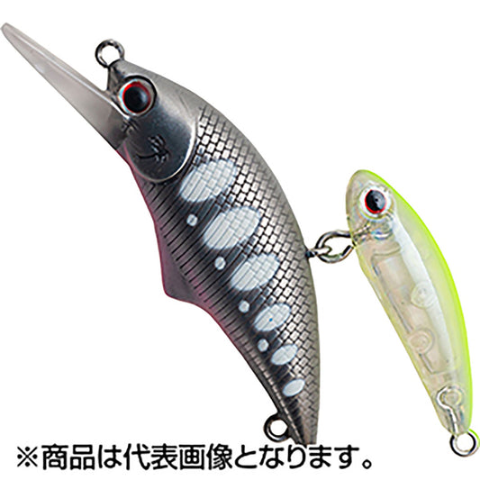 パームス(PALMS) アレキサンドラ・シェード AXS-50S MAL322#5 マットグローヤマメ＃5 Alexandra Shade