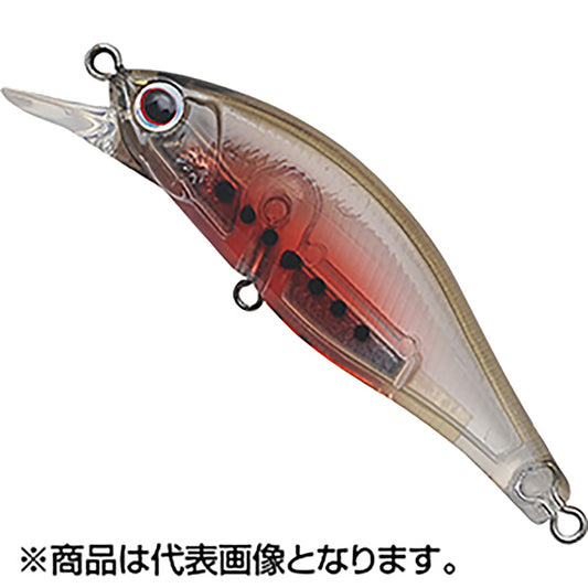 パームス(PALMS) アレキサンドラ35th記念カラー 50mm C-268 アンモシーテス AX-50HW