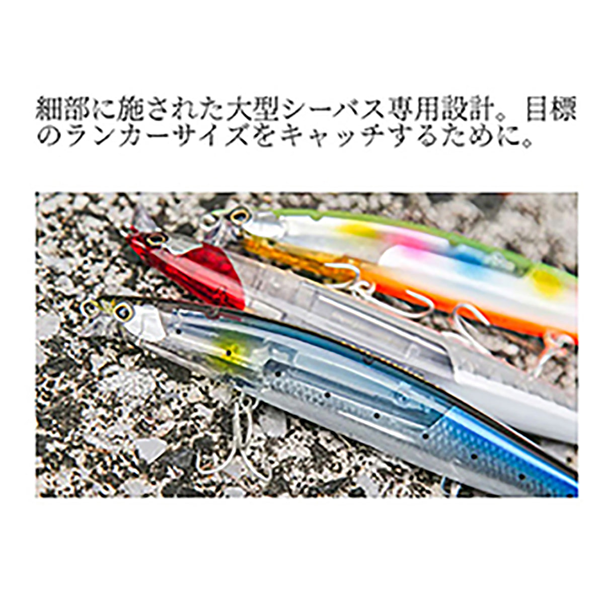 ﾚｽﾎﾟﾝﾀﾞｰ 165FFB XM-116V 006