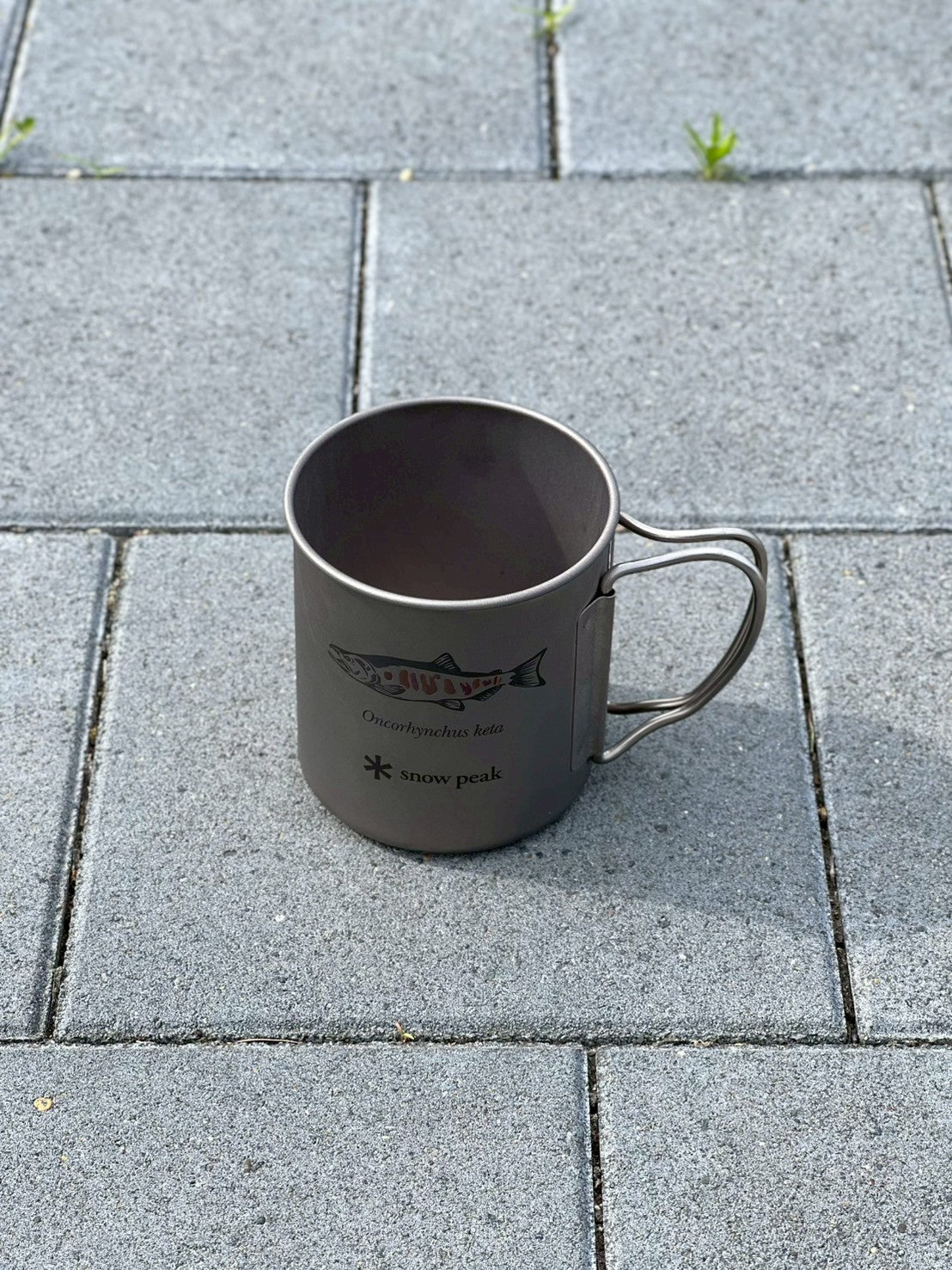 チタンマグ シングル 450 "サケ" Titanium Single Wall "Oncorhynchus keta"