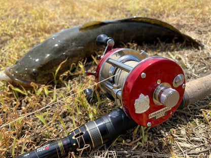 Ambassadeur Factory Tuned Red 　アンバサダー ファクトリーチューンド レッド