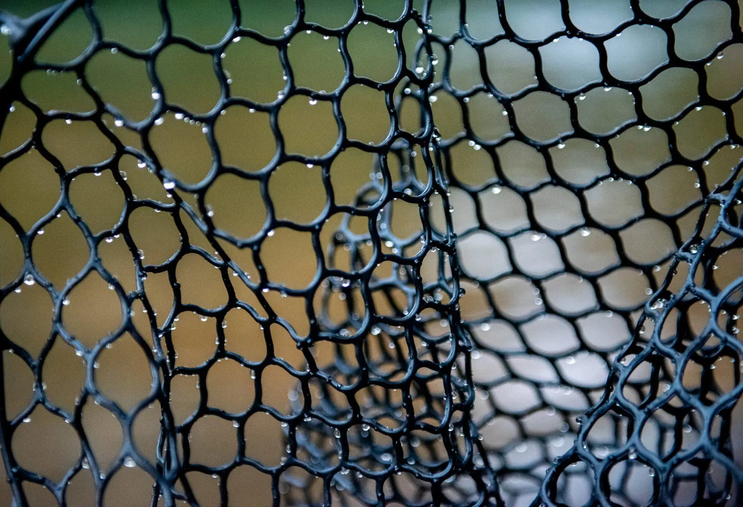 FP Nomad Nets ミッドレングス ボートネット 限定ワイルドラン エディション