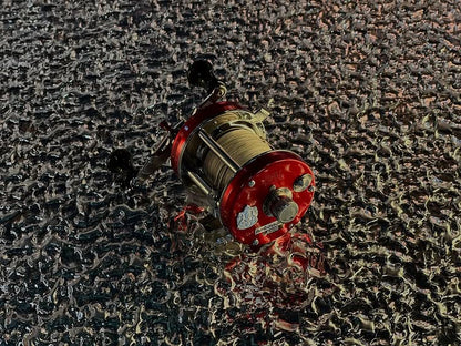 Ambassadeur Factory Tuned Red 　アンバサダー ファクトリーチューンド レッド